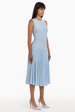 Load image into Gallery viewer, Amanda Uprichard Elkin Dress
